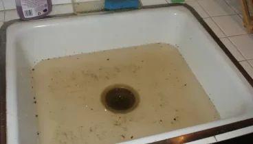 خدمات چاه بازکنی و لوله بازکنی در کوی قائم کرج